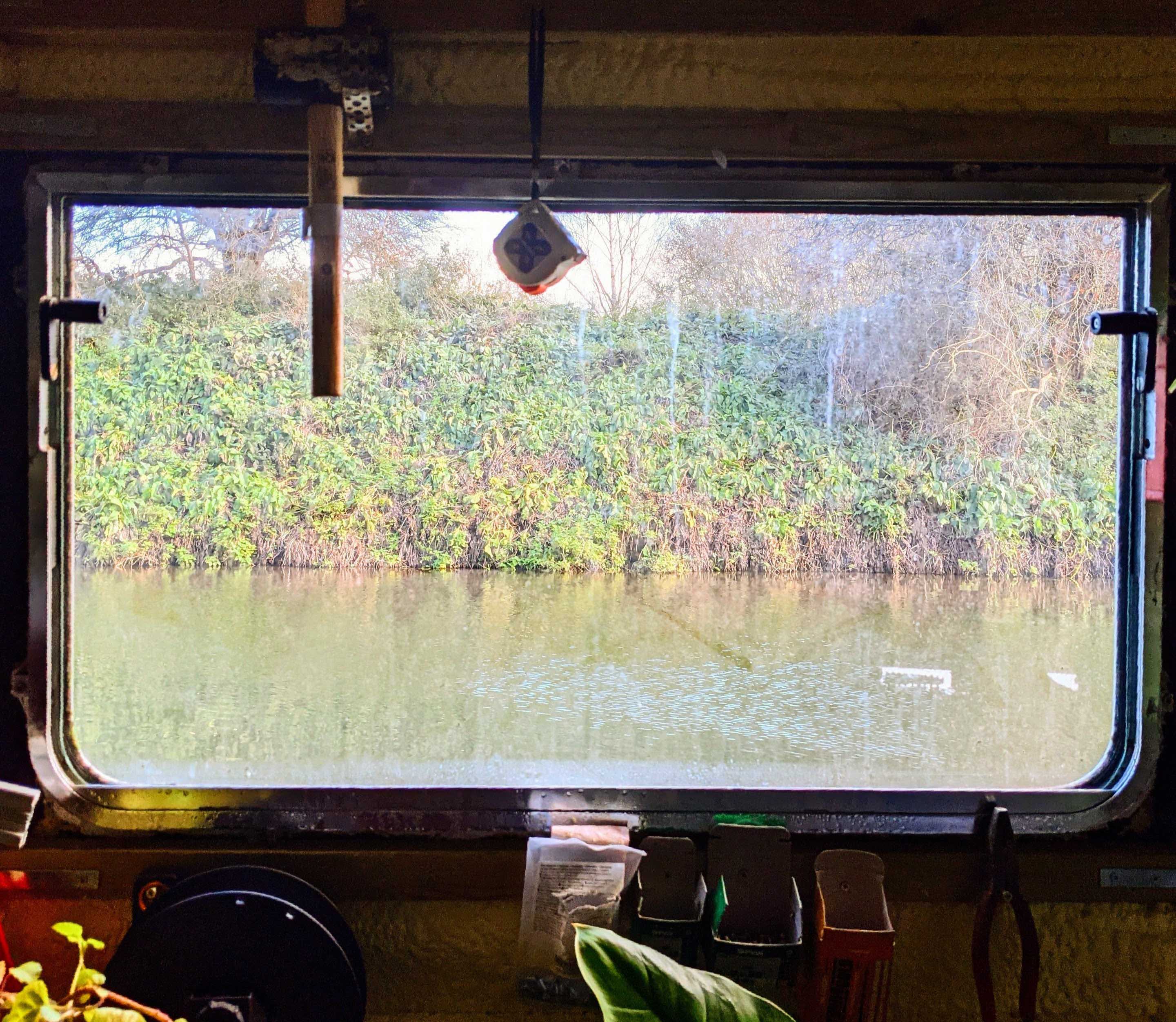 Window view 1