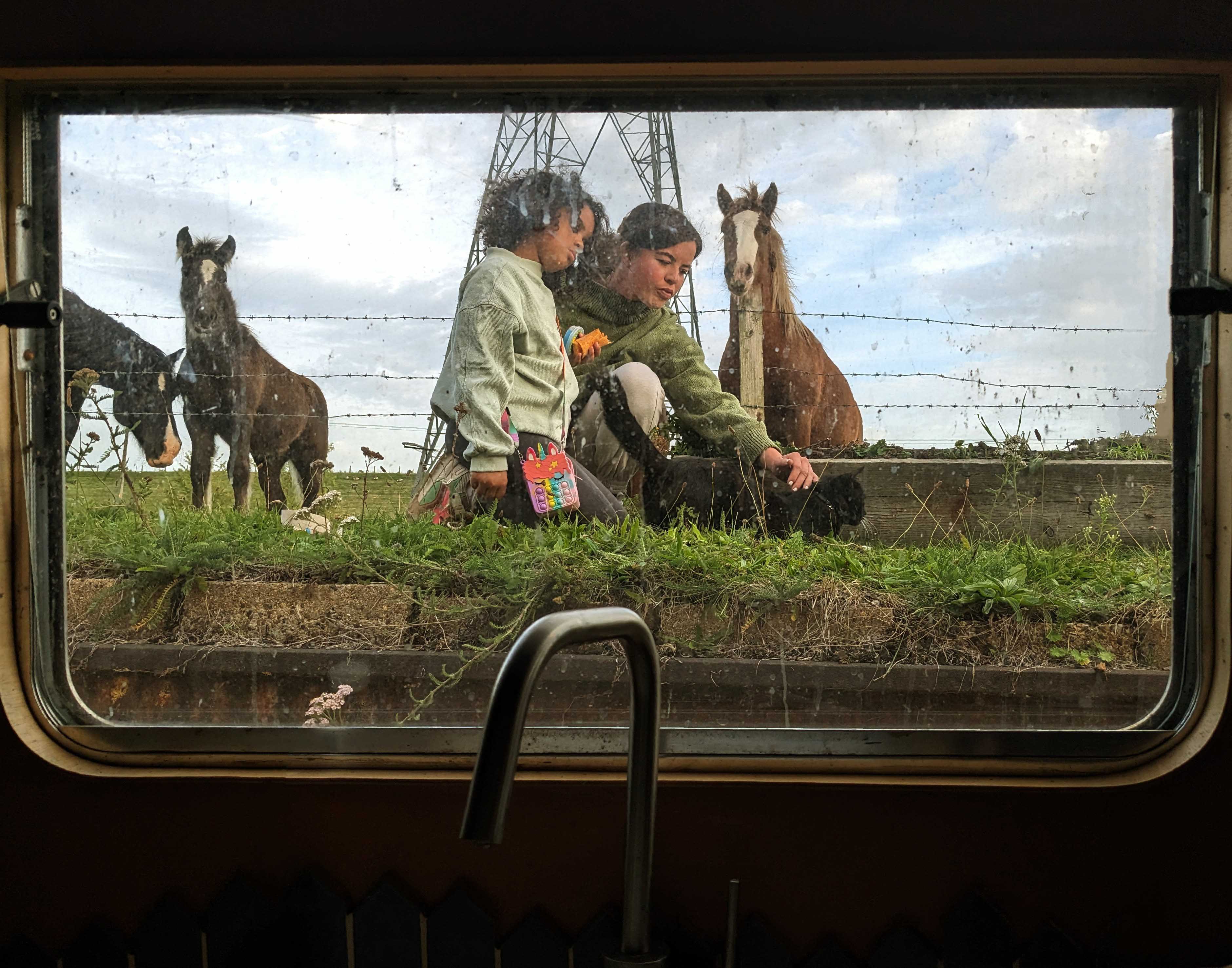 Window view 11