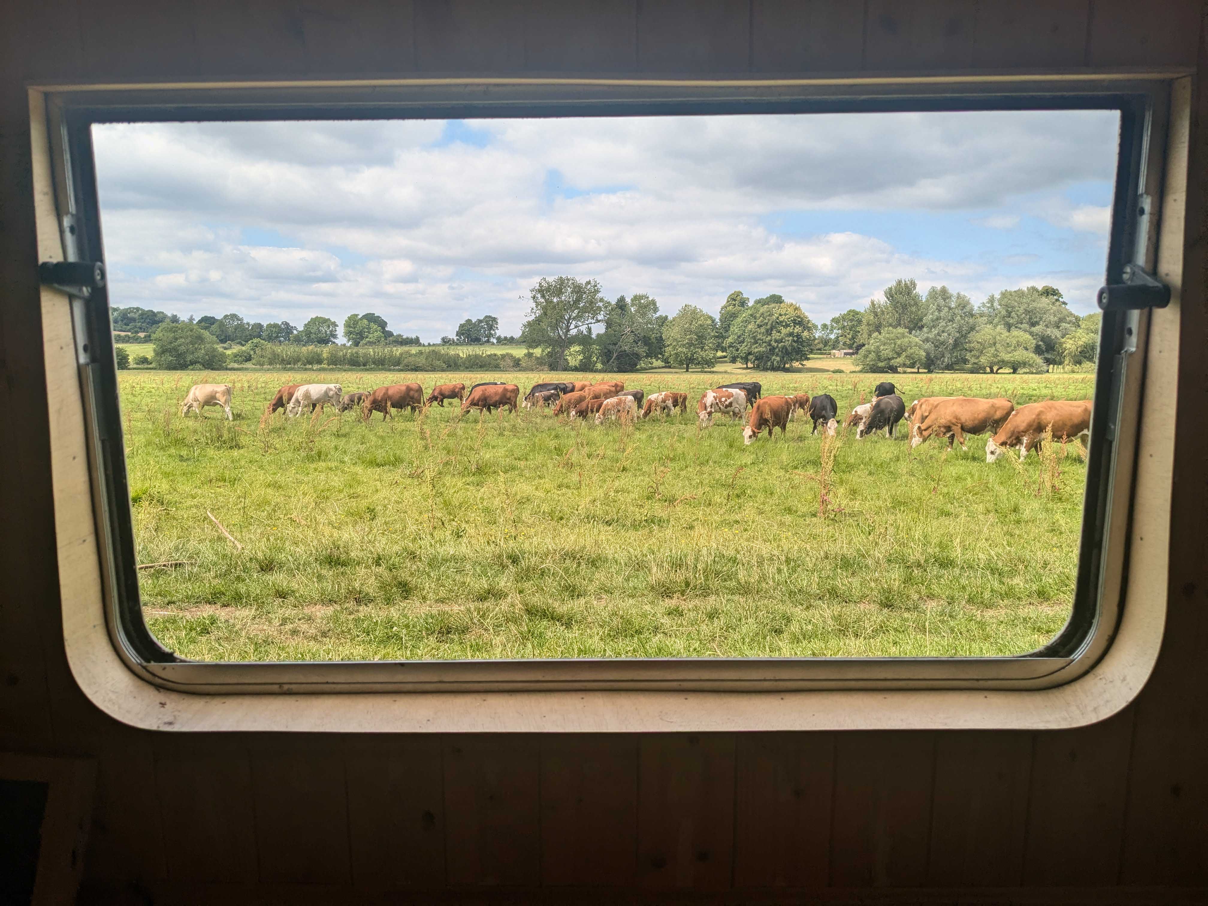 Window view 19