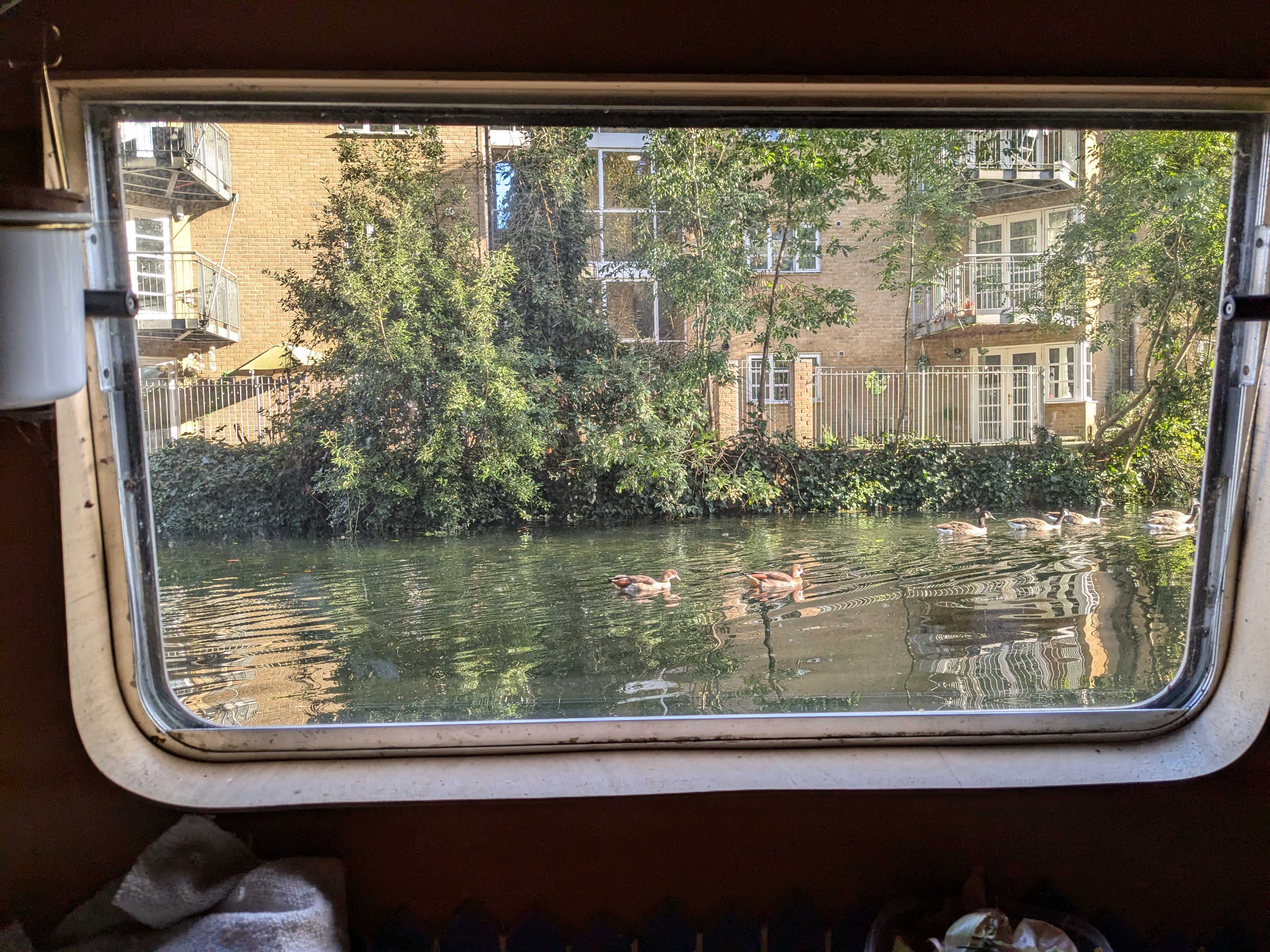 Window view 23