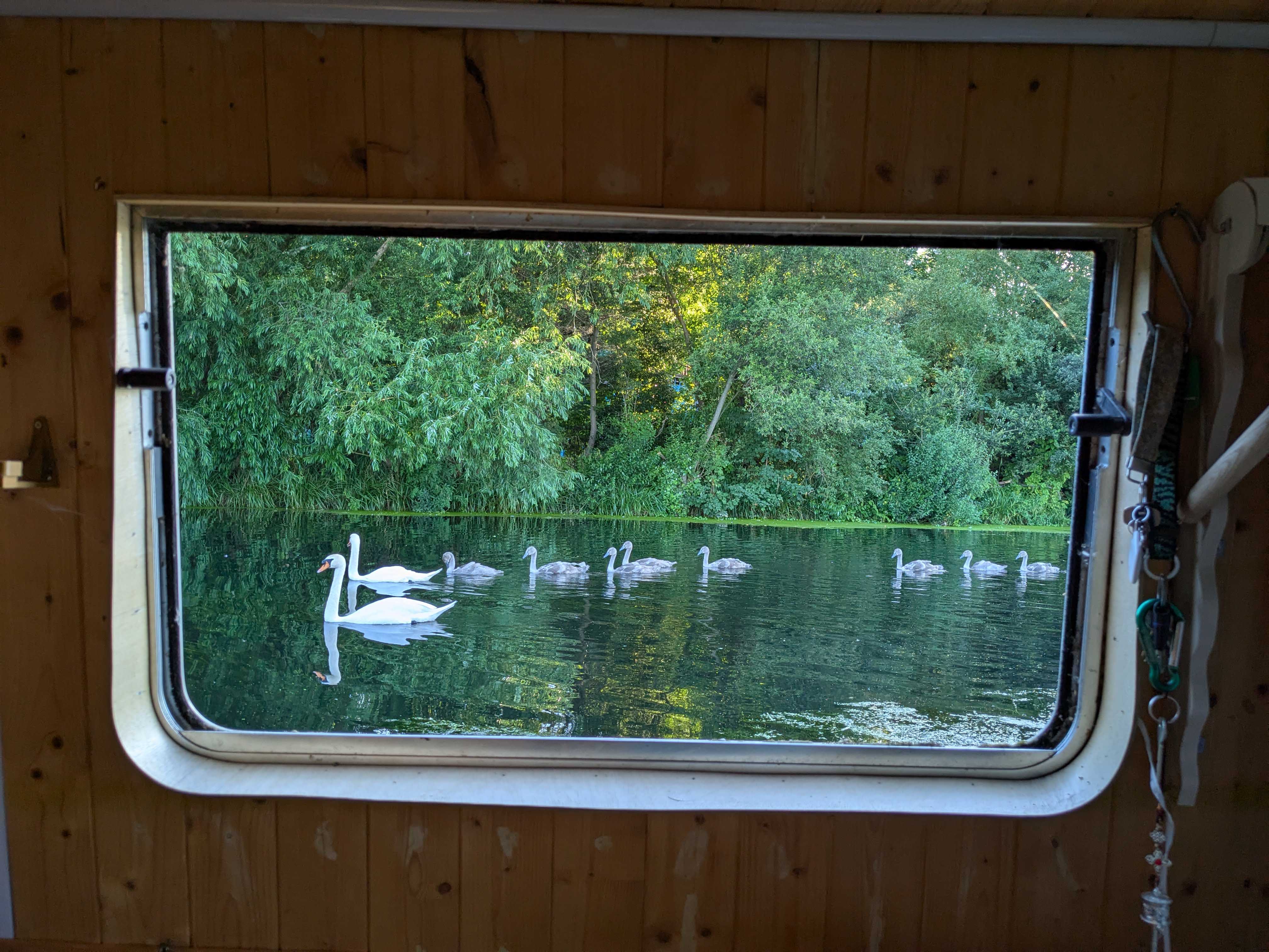 Window view 24