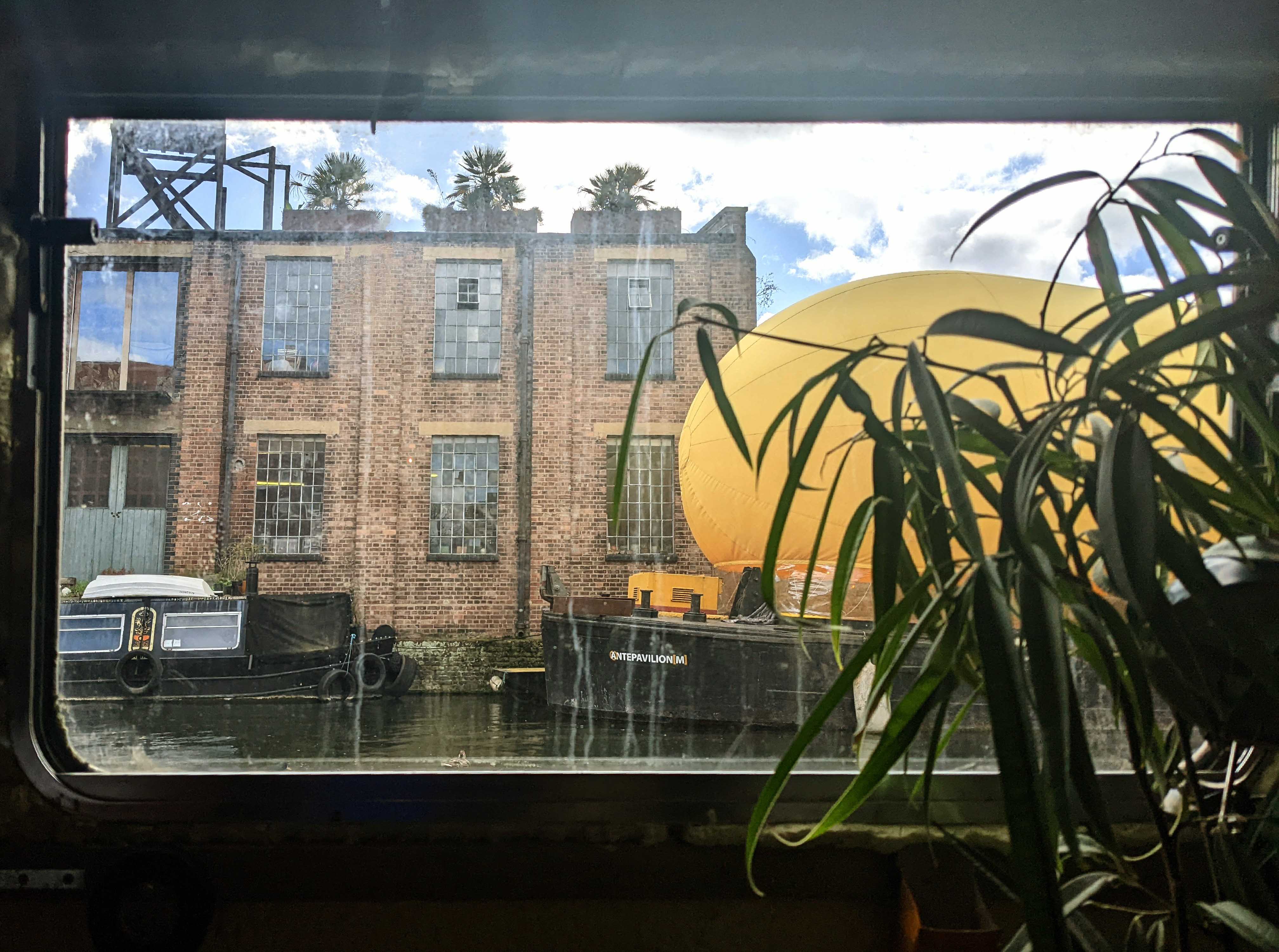 Window view 4