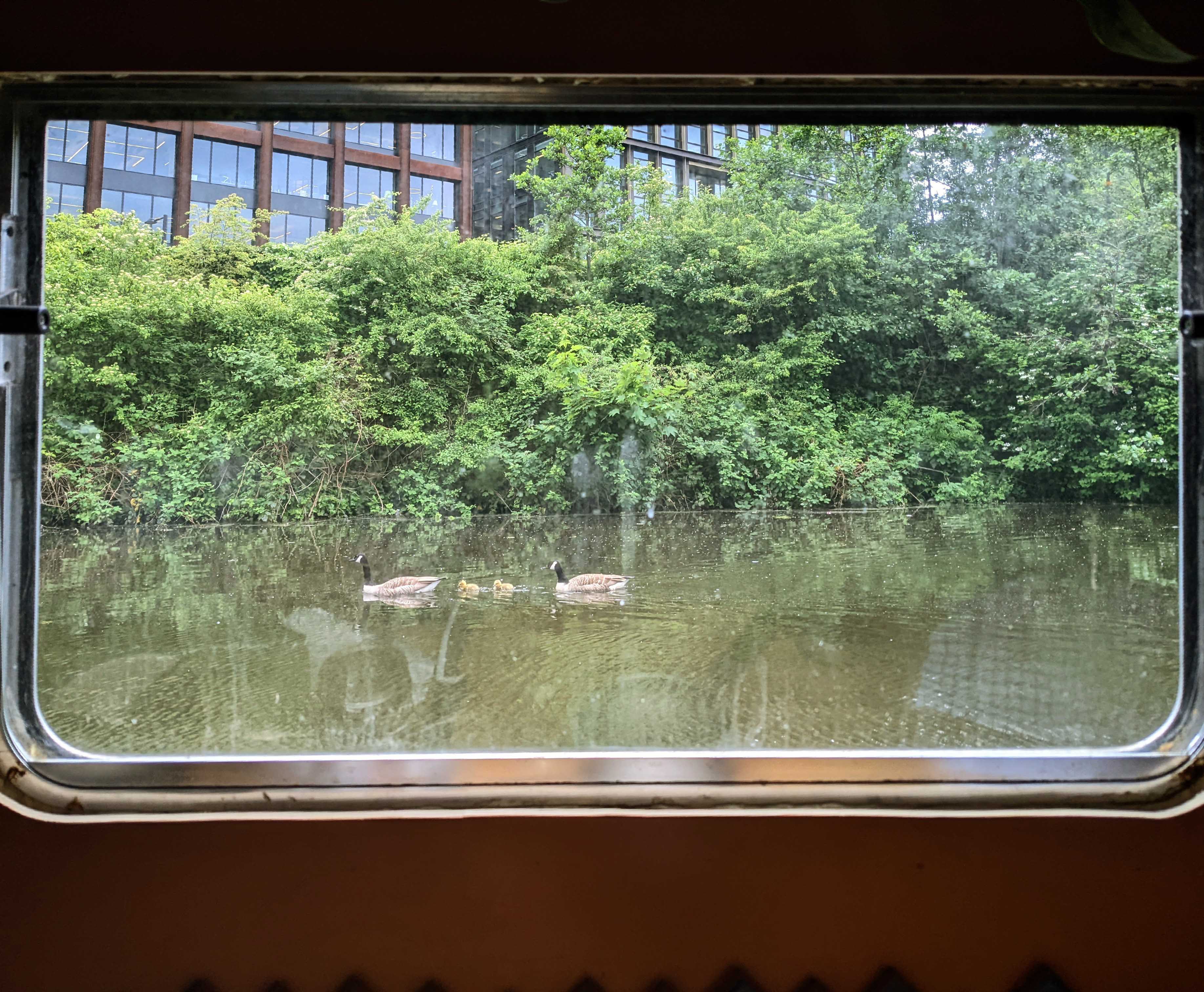 Window view 5
