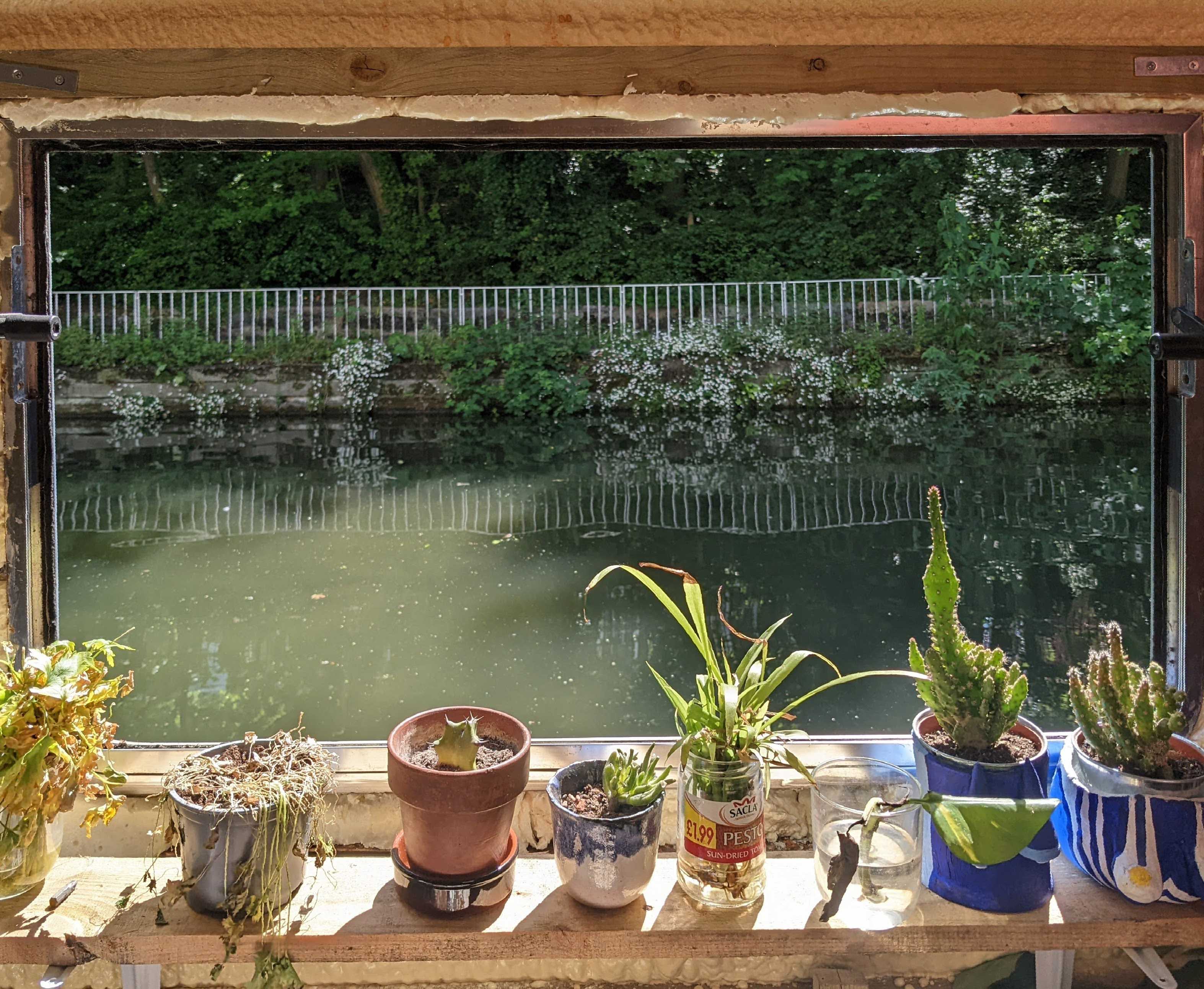 Window view 6