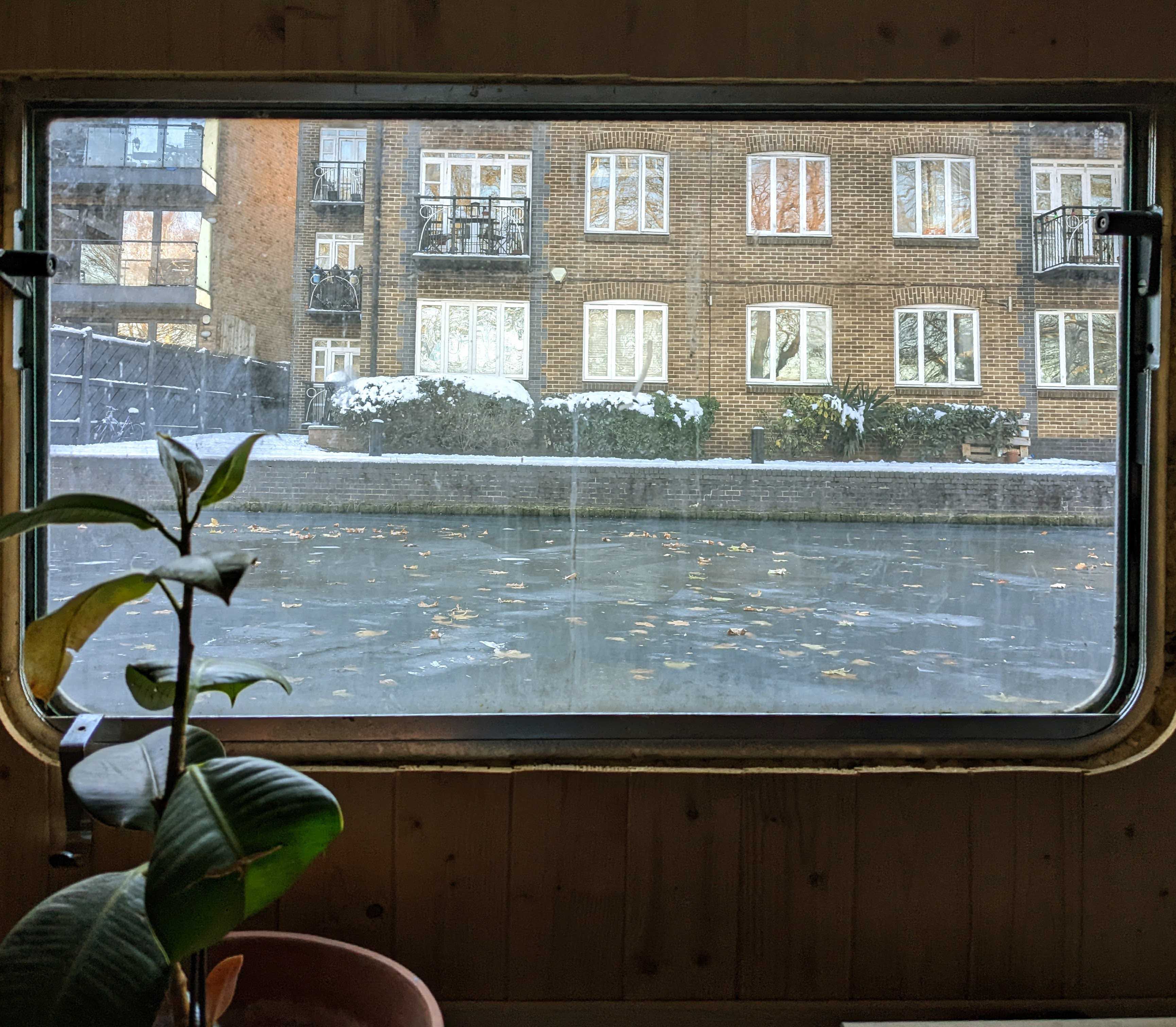 Window view 7