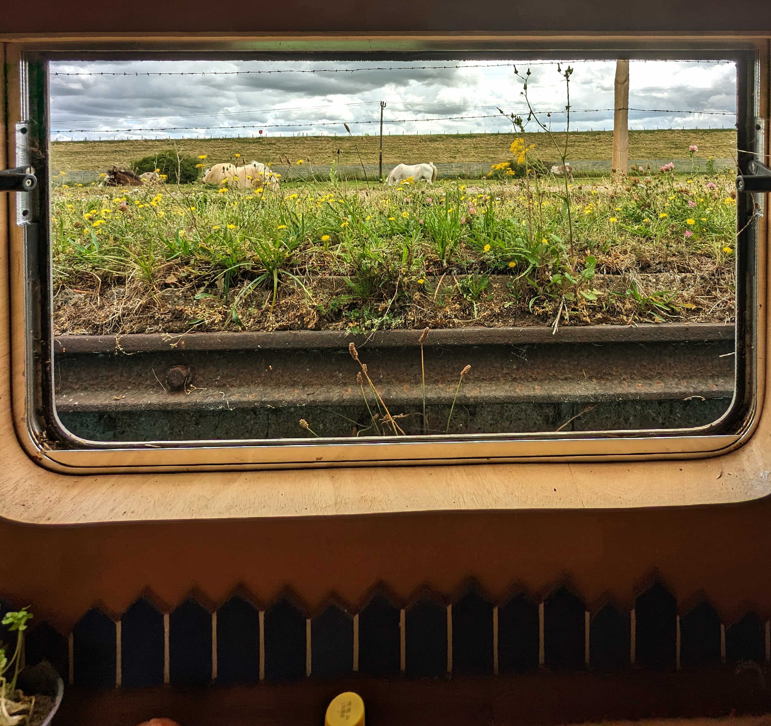 Window view 9